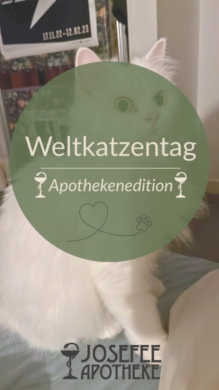 Josefee Apotheke Leoben