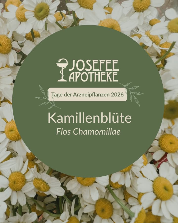 Josefee Apotheke Leoben