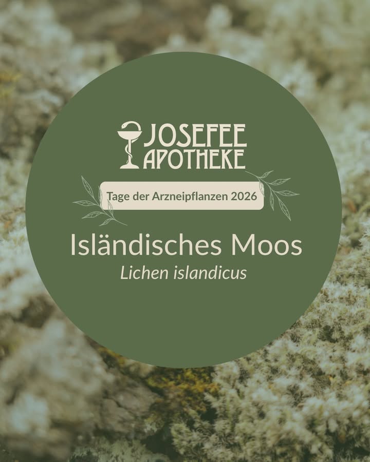 Josefee Apotheke Leoben